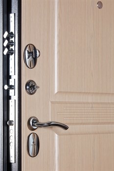 Дверь АРГУС «ДА-72» - фото 19626