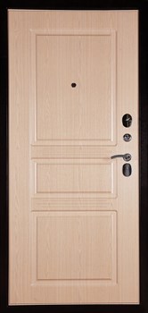 Дверь АРГУС «ДА-72» - фото 19627