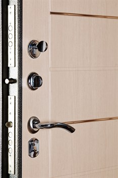 СЕЙФ-ДВЕРЬ АРГУС «ДА-1» - фото 19867