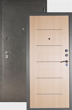 СЕЙФ-ДВЕРЬ АРГУС «ДА-1» - фото 19870