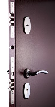 Входная металлическая дверь СУДАРЬ С-503 Венге или Сандал Белый - фото 20859