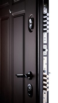 Входная металлическая дверь СУДАРЬ Дива МД-07 (Венге / Венге) - фото 21381